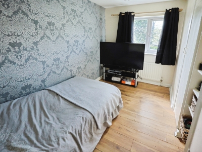 Picture 12